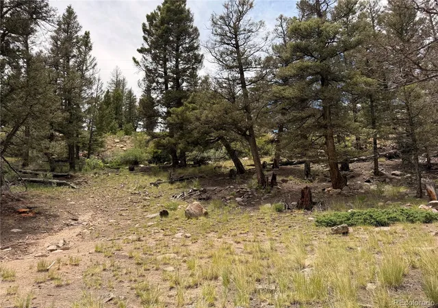 Homes for sale in Fairplay, CO | 1348 Middle Fork Vis, Fairplay, CO 80440 | MLS# 3043691