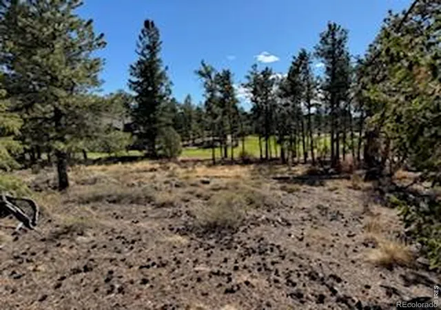 Homes for sale in Red Feather Lakes, CO | 2921 Fox Acres Dr E, Red Feather Lakes, CO 80545 | MLS# IR1063029