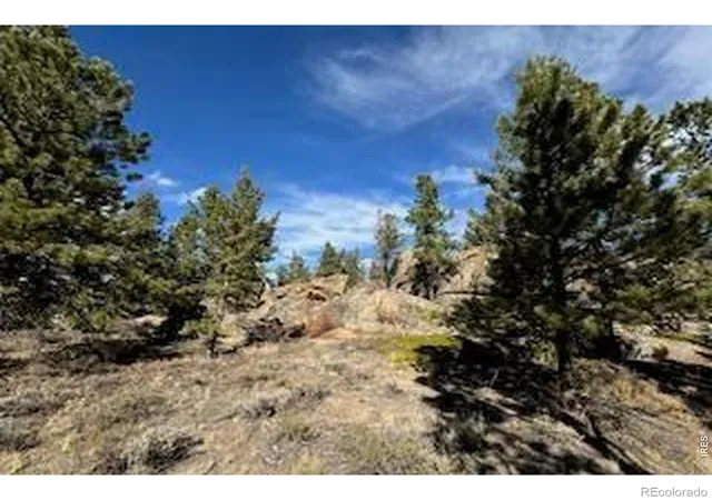 Homes for sale in Red Feather Lakes, CO | 2921 Fox Acres Dr E, Red Feather Lakes, CO 80545 | MLS# IR1063029
