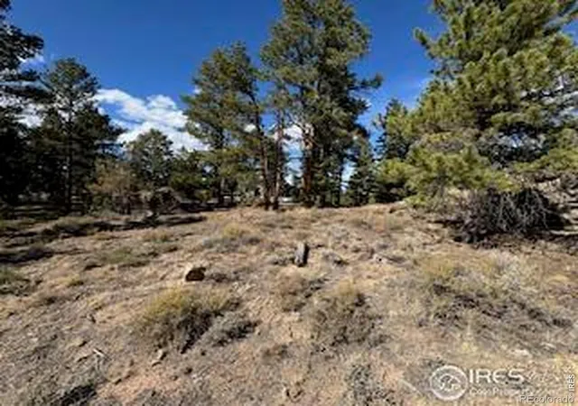 Homes for sale in Red Feather Lakes, CO | 2921 Fox Acres Dr E, Red Feather Lakes, CO 80545 | MLS# IR1063029