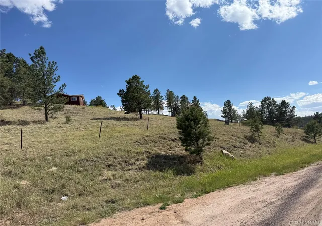 Homes for sale in Florissant, CO | 137 Hillside Dr, Florissant, CO 80816 | MLS# 5019804