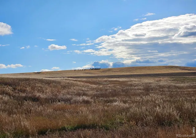 14th image of 0 Cadence Ct, Berthoud, CO 80513 | MLS# IR1063044