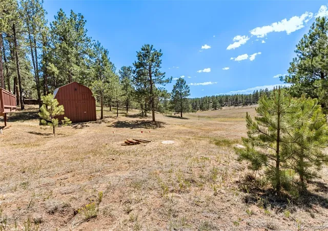 Homes for sale in Florissant, CO | 331 Rhyolite Ln, Florissant, CO 80816 | MLS# 5358533