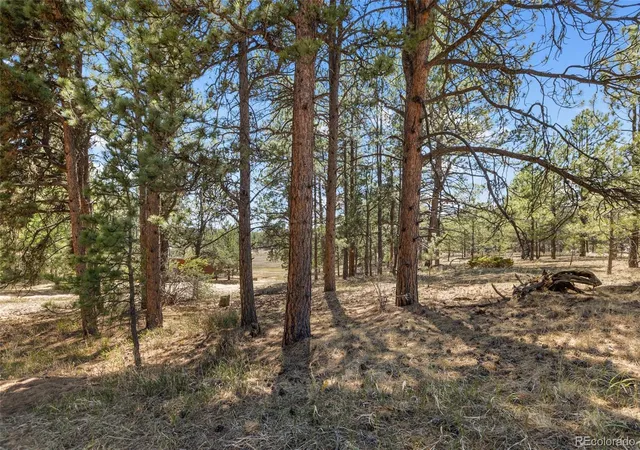 Homes for sale in Florissant, CO | 349 Rhyolite Ln, Florissant, CO 80816 | MLS# 2850465