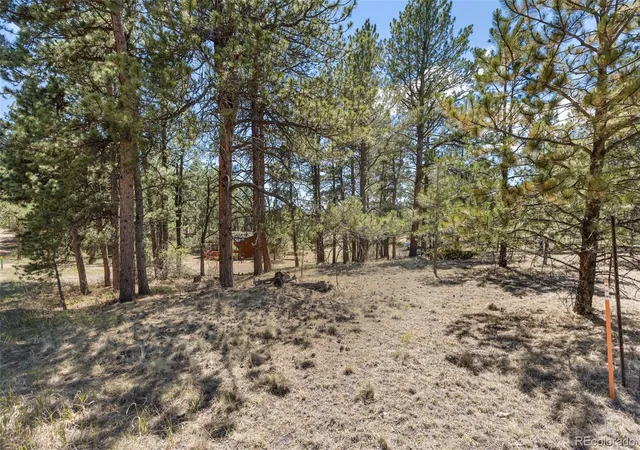Homes for sale in Florissant, CO | 349 Rhyolite Ln, Florissant, CO 80816 | MLS# 2850465