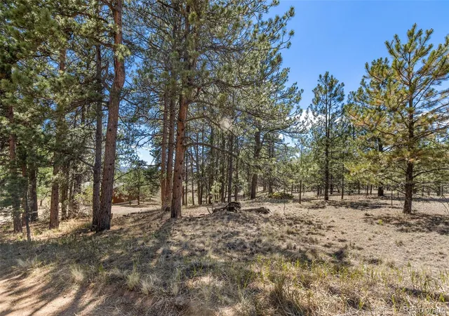 Homes for sale in Florissant, CO | 349 Rhyolite Ln, Florissant, CO 80816 | MLS# 2850465
