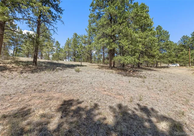 Homes for sale in Florissant, CO | 349 Rhyolite Ln, Florissant, CO 80816 | MLS# 2850465