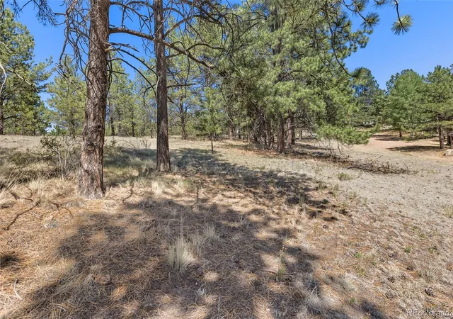 Homes for sale in Florissant, CO | 349 Rhyolite Ln, Florissant, CO 80816 | MLS# 2850465