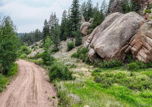 Homes for sale in Florissant, CO | 830 Pinon Ln, Florissant, CO 80816 | MLS# 7458511