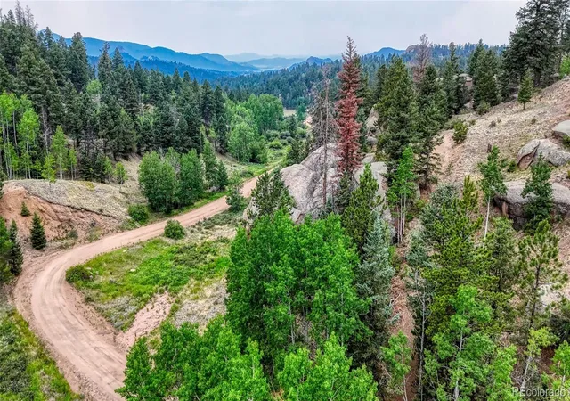 Homes for sale in Florissant, CO | 830 Pinon Ln, Florissant, CO 80816 | MLS# 7458511