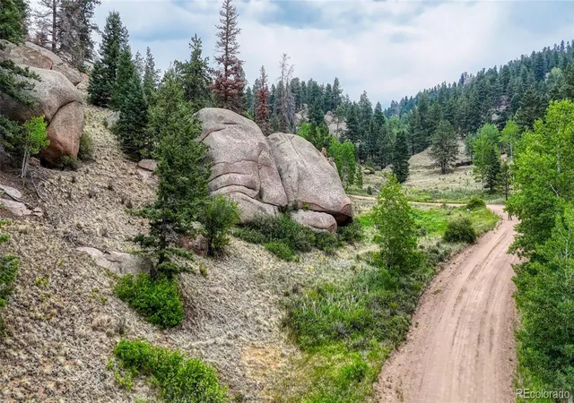 Homes for sale in Florissant, CO | 830 Pinon Ln, Florissant, CO 80816 | MLS# 7458511