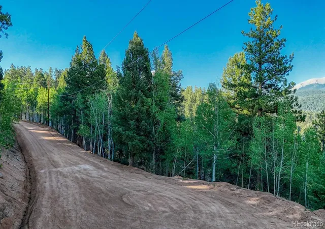 Homes for sale in Divide, CO | 364 Blue Spruce Rd, Divide, CO 80814 | MLS# 8434561
