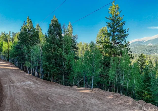 Homes for sale in Divide, CO | 364 Blue Spruce Rd, Divide, CO 80814 | MLS# 8434561