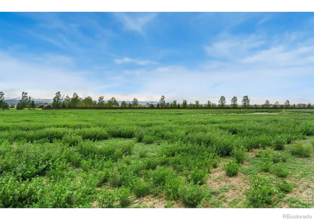 4th image of 1534 Hauck Meadows Dr, Frederick, CO 80504 | MLS# IR1063077