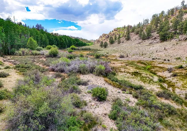 Homes for sale in Hartsel, CO | 1111 Latigo Loop, Hartsel, CO 80820 | MLS# 5638495