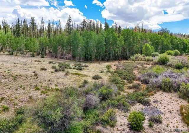 Homes for sale in Hartsel, CO | 1111 Latigo Loop, Hartsel, CO 80820 | MLS# 5638495