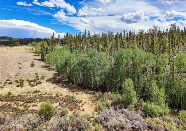 Homes for sale in Hartsel, CO | 1111 Latigo Loop, Hartsel, CO 80820 | MLS# 5638495