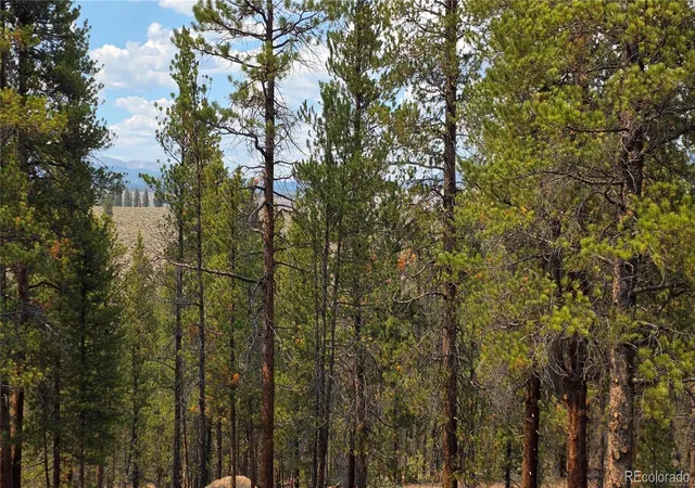 Photo 3 of Land for sale at 67 Lodgepole Dr, Leadville, CO 80461 | MLS# 1874626 | Listing updated on 2026-07-15