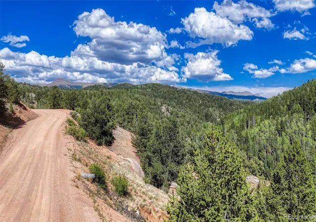 Homes for sale in Florissant, CO | 282 Fairview Dr, Florissant, CO 80816 | MLS# 4364558