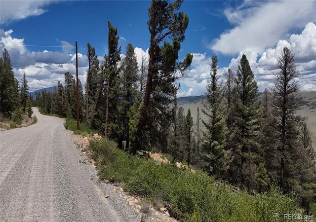 Homes for sale in Fairplay, CO | 1396 Middle Fork Vis, Fairplay, CO 80440 | MLS# 3334813