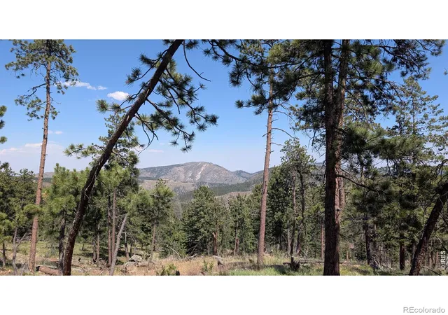 Homes for sale in Bellvue, CO | 0 Old Camp Rd, Bellvue, CO 80512 | MLS# IR1063104