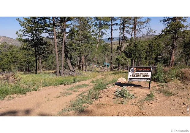 Homes for sale in Bellvue, CO | 0 Old Camp Rd, Bellvue, CO 80512 | MLS# IR1063104
