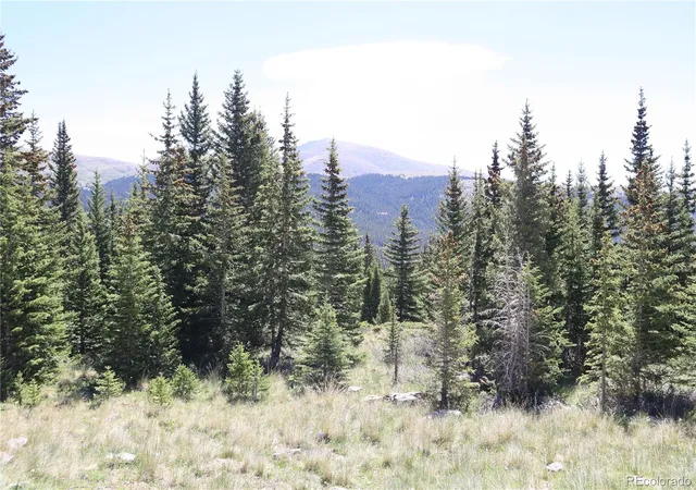 Homes for sale in Fairplay, CO | 1480 Roberts Rd, Fairplay, CO 80440 | MLS# 7879926