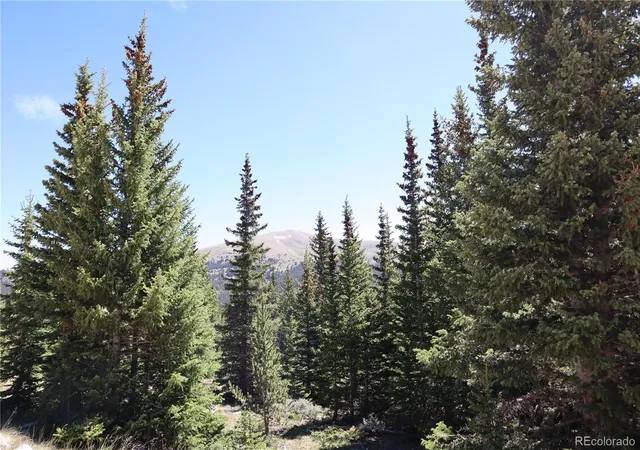 Homes for sale in Fairplay, CO | 1480 Roberts Rd, Fairplay, CO 80440 | MLS# 7879926