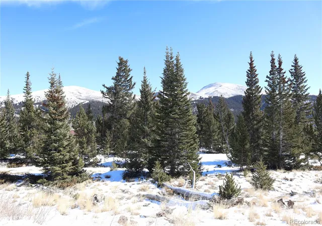 Homes for sale in Fairplay, CO | 1480 Roberts Rd, Fairplay, CO 80440 | MLS# 7879926