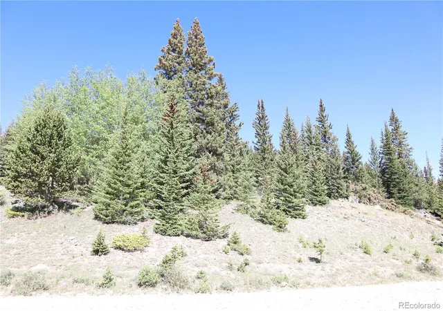 Homes for sale in Fairplay, CO | 1480 Roberts Rd, Fairplay, CO 80440 | MLS# 7879926