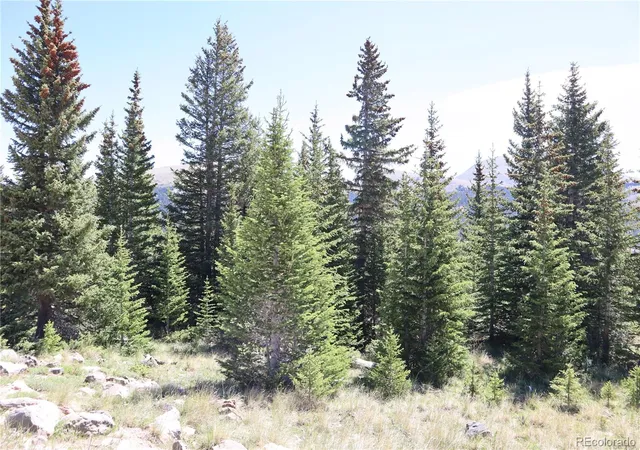 Homes for sale in Fairplay, CO | 1480 Roberts Rd, Fairplay, CO 80440 | MLS# 7879926