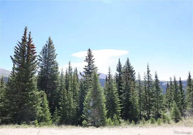Homes for sale in Fairplay, CO | 1480 Roberts Rd, Fairplay, CO 80440 | MLS# 7879926