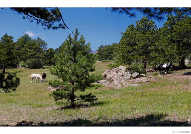 4th image of 636 Ranch Rd, Ward, CO 80481 | MLS# IR1063119