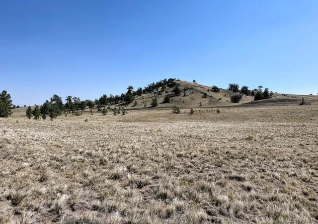 Homes for sale in Hartsel, CO | 0000 Falcon Rd, Hartsel, CO 80449 | MLS# 6605907