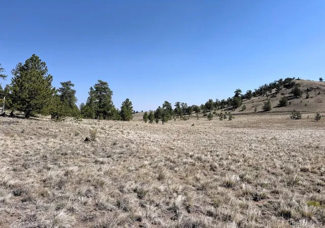 Homes for sale in Hartsel, CO | 0000 Falcon Rd, Hartsel, CO 80449 | MLS# 6605907