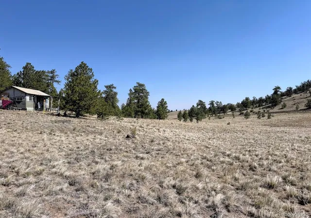 Homes for sale in Hartsel, CO | 0000 Falcon Rd, Hartsel, CO 80449 | MLS# 6605907