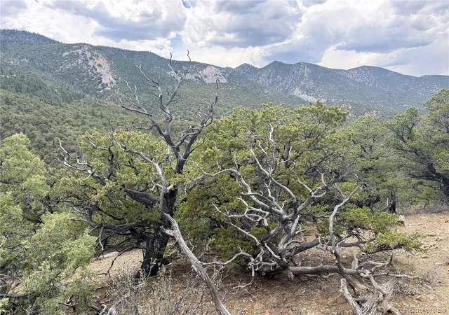 3rd image of 3282 Lower Camp Rd, Howard, CO 81233 | MLS# 4271643
