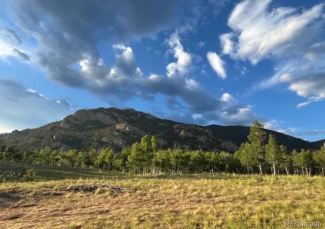 Homes for sale in Lake George, CO | 206 Emerald Wy, Lake George, CO 80827 | MLS# 7273725