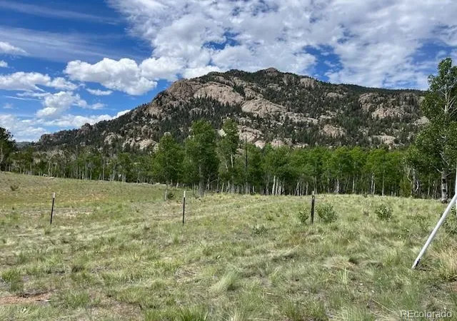 Homes for sale in Lake George, CO | 206 Emerald Wy, Lake George, CO 80827 | MLS# 7273725