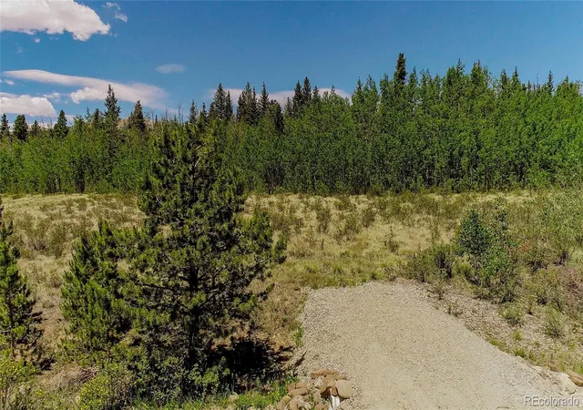 Homes for sale in Fairplay, CO | 515 Wild Rye Rd, Fairplay, CO 80440 | MLS# 8003514
