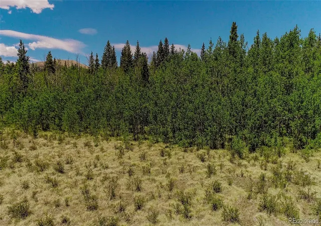 Homes for sale in Fairplay, CO | 515 Wild Rye Rd, Fairplay, CO 80440 | MLS# 8003514