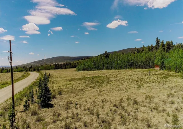 Homes for sale in Fairplay, CO | 515 Wild Rye Rd, Fairplay, CO 80440 | MLS# 8003514