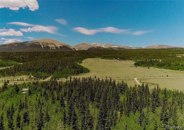 Homes for sale in Fairplay, CO | 515 Wild Rye Rd, Fairplay, CO 80440 | MLS# 8003514