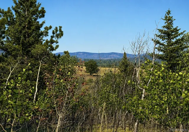 Homes for sale in Como, CO | 250 Pinto Trl, Como, CO 80432 | MLS# 4353918