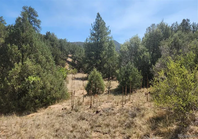 2nd image of 161 Ponderosa Ln, Cotopaxi, CO 81223 | MLS# 6980901