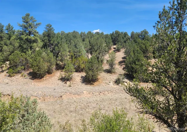 3rd image of 161 Ponderosa Ln, Cotopaxi, CO 81223 | MLS# 6980901