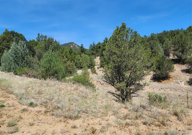 38th image of 161 Ponderosa Ln, Cotopaxi, CO 81223 | MLS# 6980901