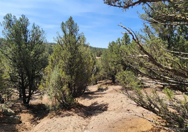4th image of 161 Ponderosa Ln, Cotopaxi, CO 81223 | MLS# 6980901