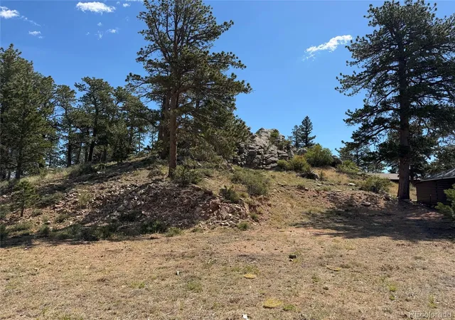 5th image of 168 Main St, Red Feather Lakes, CO 80545 | MLS# 8913910