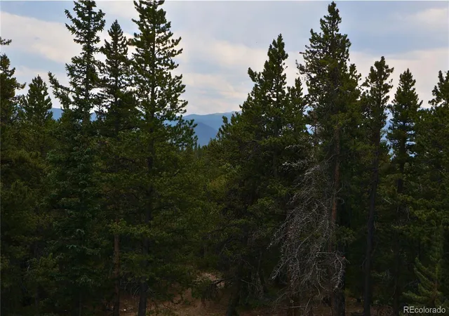5th image of 00 Lamartine Rd, Idaho Springs, CO 80452 | MLS# 3736576